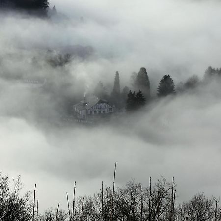 La Petite Ferme Villa Rochehaut Dış mekan fotoğraf